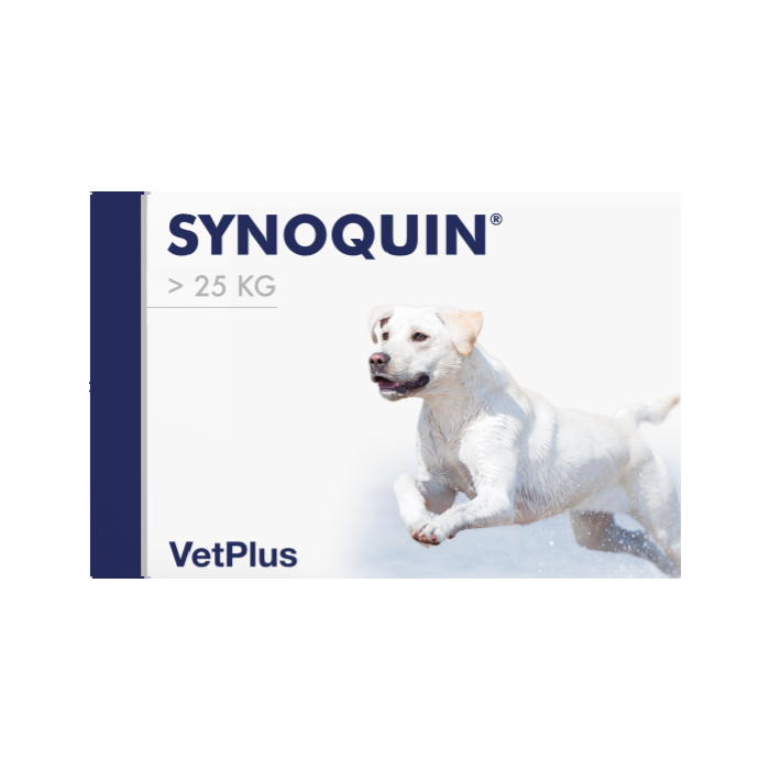 Synoquin EFA Large kaps 30 kpl