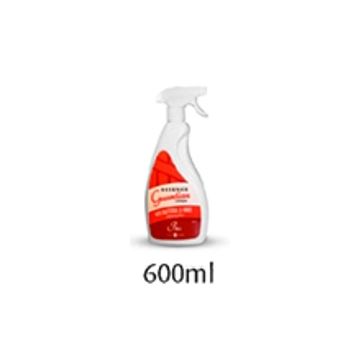 SCIENCE GUARDIAN DESINFECTION FOAM 600 ML