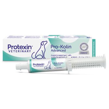 Pro-Kolin Advanced koira 60 ml